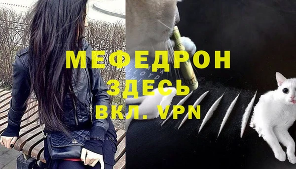 спиды Гусев