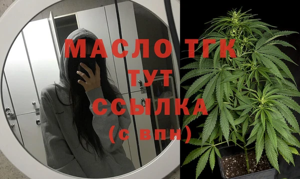 спиды Гусев