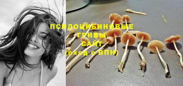 ПСИЛОЦИБИНОВЫЕ ГРИБЫ Гусиноозёрск
