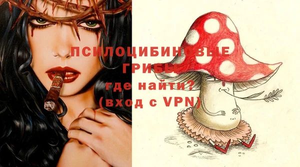 спиды Гусев