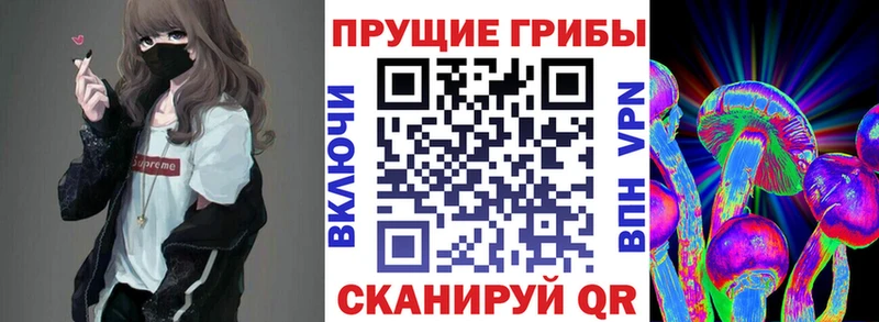 наркотики  Жигулёвск  Галлюциногенные грибы ЛСД 